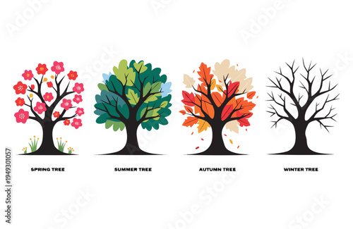A collection of stylized vector graphic illustrations showcasing the seasonal changes of trees, depicting spring, summer, autumn, and winter natural cycles.