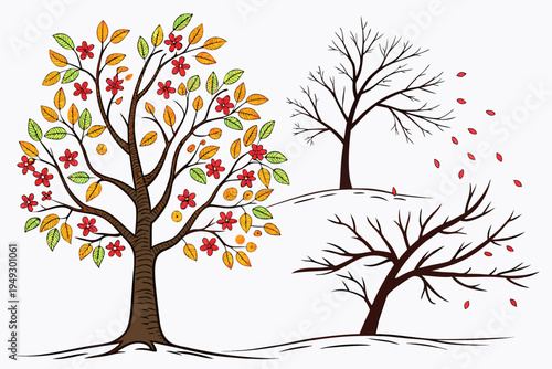 Artistic graphic design of three distinct trees portraying the beautiful cycle of nature through various seasons vector illustration.