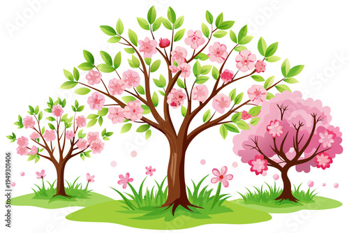 A charming vector illustration depicting a beautiful spring scene with three blooming cherry blossom trees on gentle grassy hills, perfect for seasonal designs.