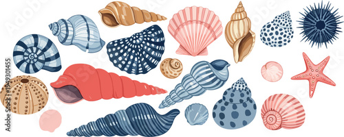 Vector set of colorful seashells, starfish, and sea urchins isolated on white background, ocean beach nature elements for summer nautical design projects.