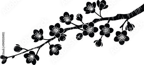 Black and white of a cherry blossom branch with flowers and leaves