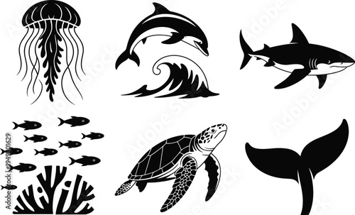 Black and white of marine life including a jellyfish, dolphin, shark, fish, sea turtle, and whale tail