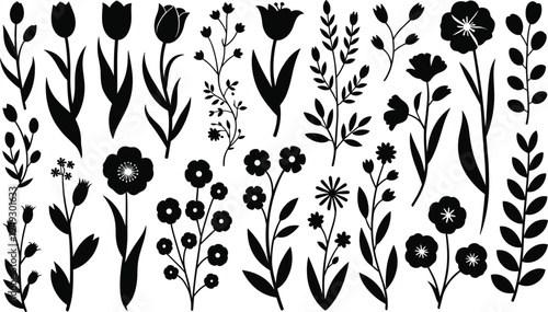 Black and white of various flowers and plants with different shapes and sizes tulips