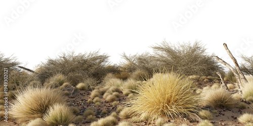 Panoramic view of dry desert vegetation with wild grass clumps, shrubs and sandy rocky terrain forming a natural arid landscape isolated on a dark background. 3d rendering
