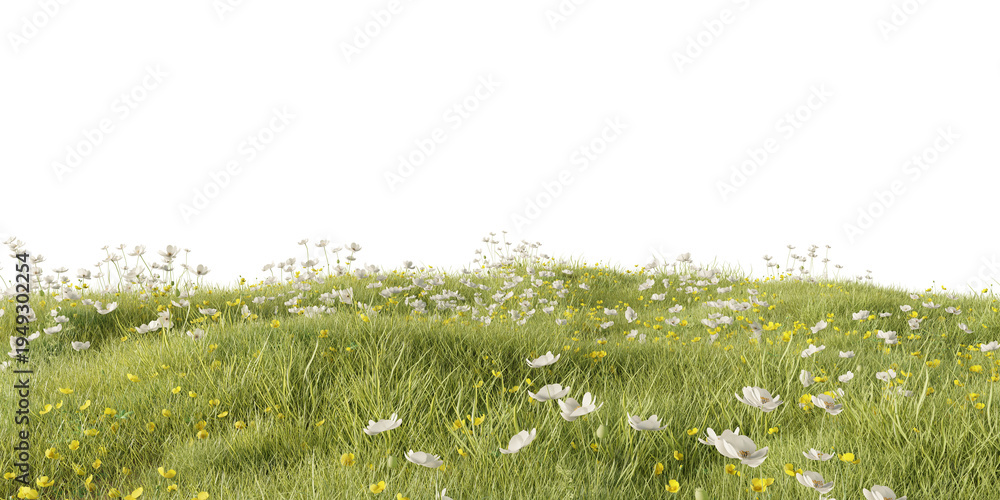 Fototapeta premium Hills with grass on a transparent background. 3D rendering 