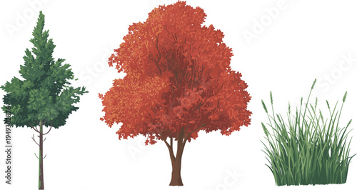 Three Trees and Tall Green Grass on a White Background autumn nature