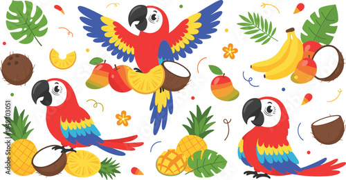 Tropical fruits and macaw parrots vector illustration with pineapple, banana, coconut and mango, colorful exotic jungle summer elements set