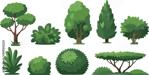 Various Green Trees and Bushes in Different Shapes and Sizes on White Background foliage nature