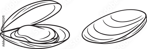 Sea Mussel Shell Minimal Outline Line Drawing Vector Illustration For Ocean Seafood Marine Life Design