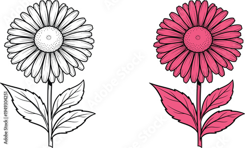Coloring page of two flowers