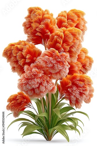 Vibrant orange floral plant decorative nature art high resolution picture