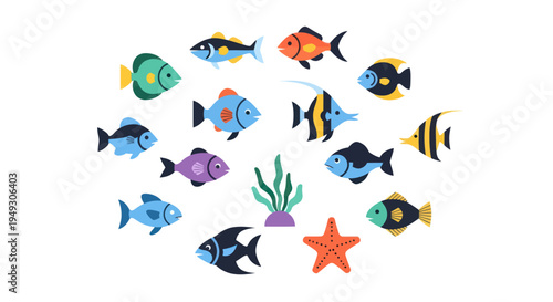 Colorful fish collection on white background