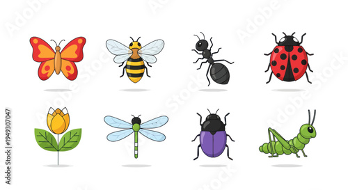 Colorful insect collection on white background