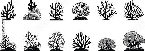 Underwater coral reef silhouette collection featuring sea plants ocean seaweed and aquatic marine life elements for tropical nature vector design.