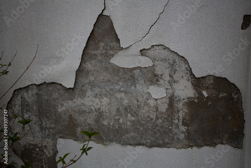 Manque d'entretien sur un mur humide avec décomposition de la peinture