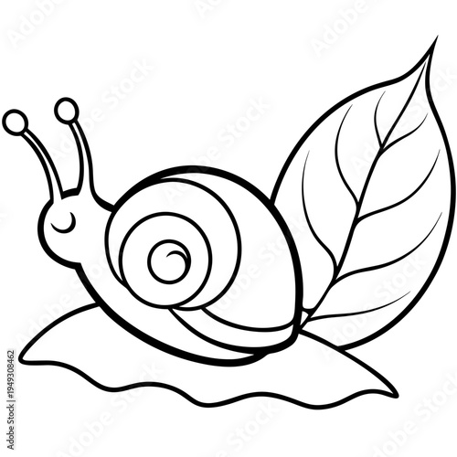 Snail outline on leaf black and white drawing. Simple insect nature illustration for coloring book and educational materials.