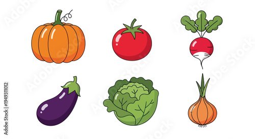 Colorful vegetables illustration on white