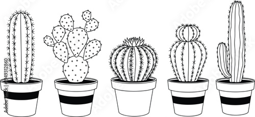 Cactus plants in pots line art vector set, desert succulent botanical collection, hand drawn potted cactus illustration isolated