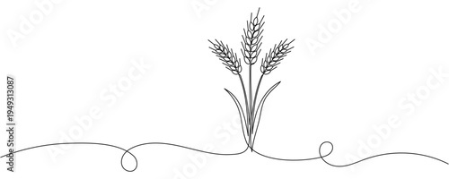 Ears of wheat one continuous line drawing .Fall harvest line art. Vector one line of spikelet. Thanksgiving symbol Editable stroke