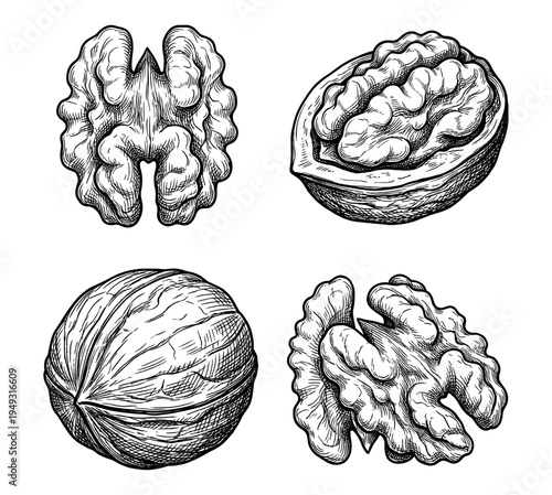 Walnut set with whole nuts shells and kernels