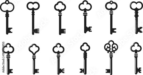 Collection of Vintage Skeleton Keys Silhouettes on White Background antique