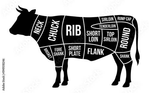 Beef meat cuts chart infographic with cow silhouette