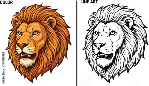 Detailed lion head illustration in color and line art styles, fierce wild animal portrait vector design for mascot, tattoo, logo and wildlife branding