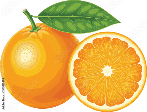 Fresh orange fruit with green leaf and sliced half showing juicy citrus segments vector illustration