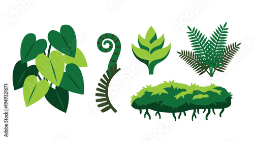 A set of five stylized green plant and foliage illustrations, including a fern and broad leaves, is presented on a white background.