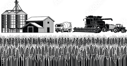 Wheat field agriculture landscape with combine harvester tractor grain silo barn and truck, farming harvest machinery vector illustration rural farm scene