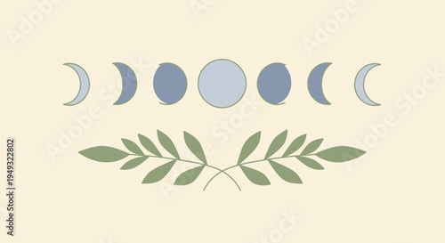 Moon phases with green leaves illustration