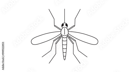 Mosquito line art icon with segmented body, wings, legs, and antennae on a white background. featuring insect, bug, outline with drawing and