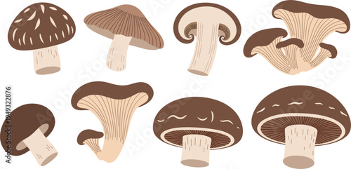 Edible Mushroom Illustration Set Featuring Shiitake, Oyster and Wild Forest Mushrooms with Detailed Caps and Stems for Food, Cooking and Botanical Designs