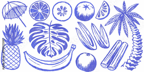 Collection of hand drawn tropical fruits and foliage in blue tones