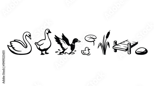 A collection of black and white illustrations shows various waterfowl and pond elements like a dock and reeds against a white background.