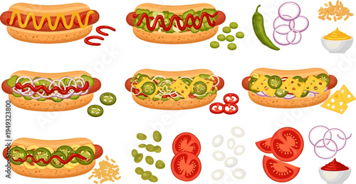 Hot Dog Food Vector Set with Different Toppings, Sausage Sandwich Variations, Cheese, Jalapeno, Onion, Tomato and Fast Food Ingredients Illustration