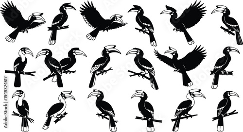 Hornbill bird silhouette collection featuring tropical wildlife perched and flying hornbills isolated for nature, zoology and exotic bird design