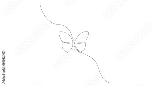 Butterfly minimalist one line drawing with flowing curves against white background, elegant nature art.