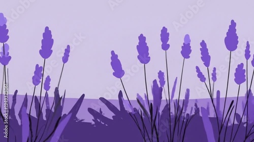 Lavender Field Illustration - A Serene Purple Landscape.