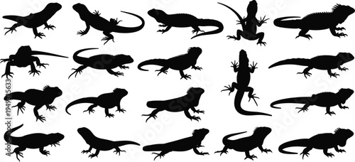 Lizard silhouette collection set featuring multiple reptile poses isolated, iguana and gecko shapes for wildlife, zoology and design use