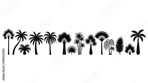 A collection of various black palm tree silhouettes is arranged in a row on a plain white background.