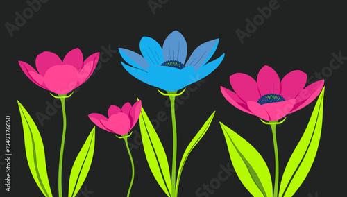 A striking close-up of a tulip against a dark background. Ideal for spring themes, graphic design elements, or conveying concepts of growth and beauty