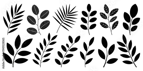 A collection of various botanical leaf silhouettes featuring different shapes and intricate patterns Vector