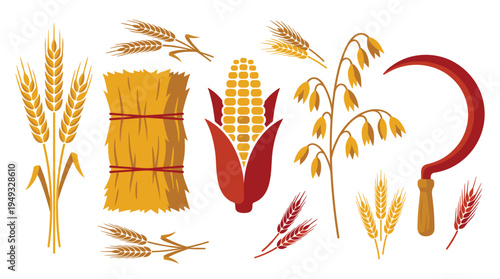 A collection of colorful vector illustrations of various grains like wheat, oats, corn, and a sickle is displayed on a plain white background.