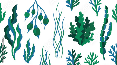 A diverse collection of colorful seaweed and marine algae illustrations is arranged as a pattern on a white background.