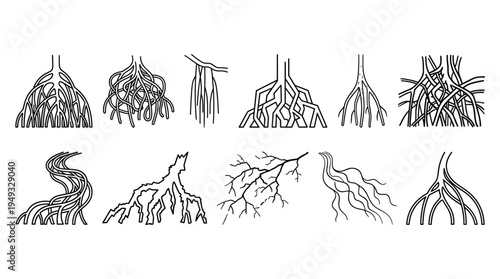 A set of ten diverse tree root system illustrations depicted in black and white line art on a plain background.