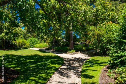 Williamstown botanic gardens, Melbourne, Australia, Victoria 12.28.2025 A walk in the park on a beautiful sunny day