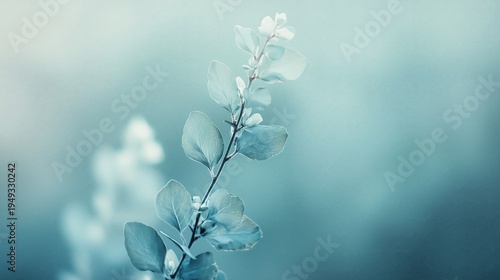 Close up View of a Green Plant in Soft Light During a Calm Afternoon