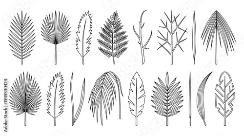 A set of various tropical and palm leaves is depicted in a clean black and white outline style against a solid white background.