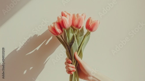 Holding a Bouquet of Pink Tulips With a Soft Background in a Bright Setting